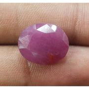 10.89 Ratti Natural New Burma Ruby with Govt. Lab Certificate-(5661)